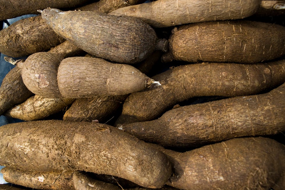 Yam, Root vegetable, Yacón, Tuber, Yuca, Vegetable, Plant, Purple yam, Food, Rock, 