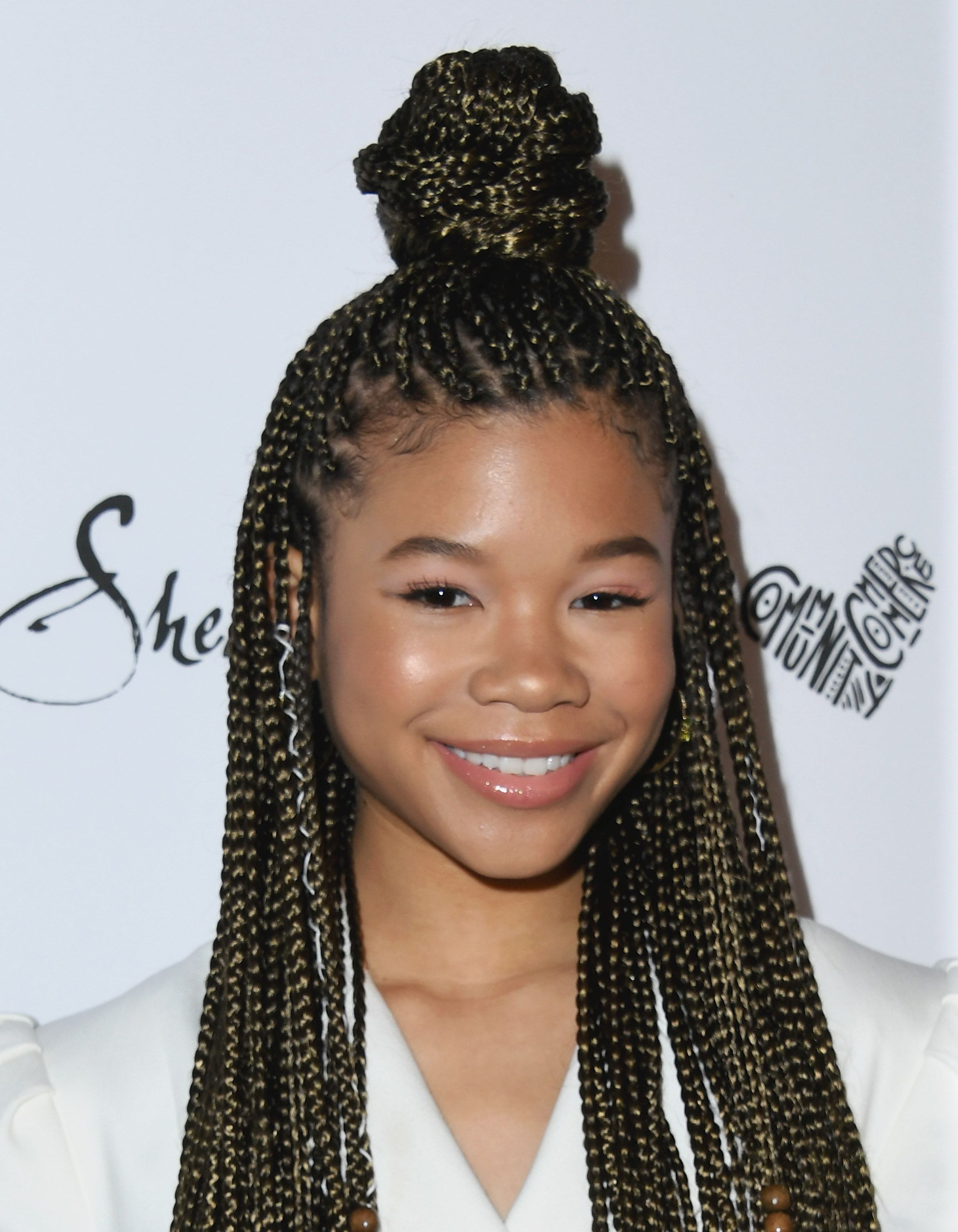 Ombré Box Braids Ideas To Shake Up Your Style & Color All At Once