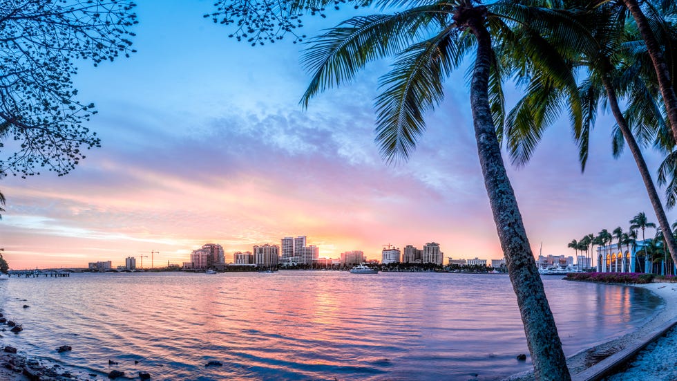 Sky, Tree, Daytime, Water, Cloud, Palm tree, City, Morning, Sunset, Evening, 