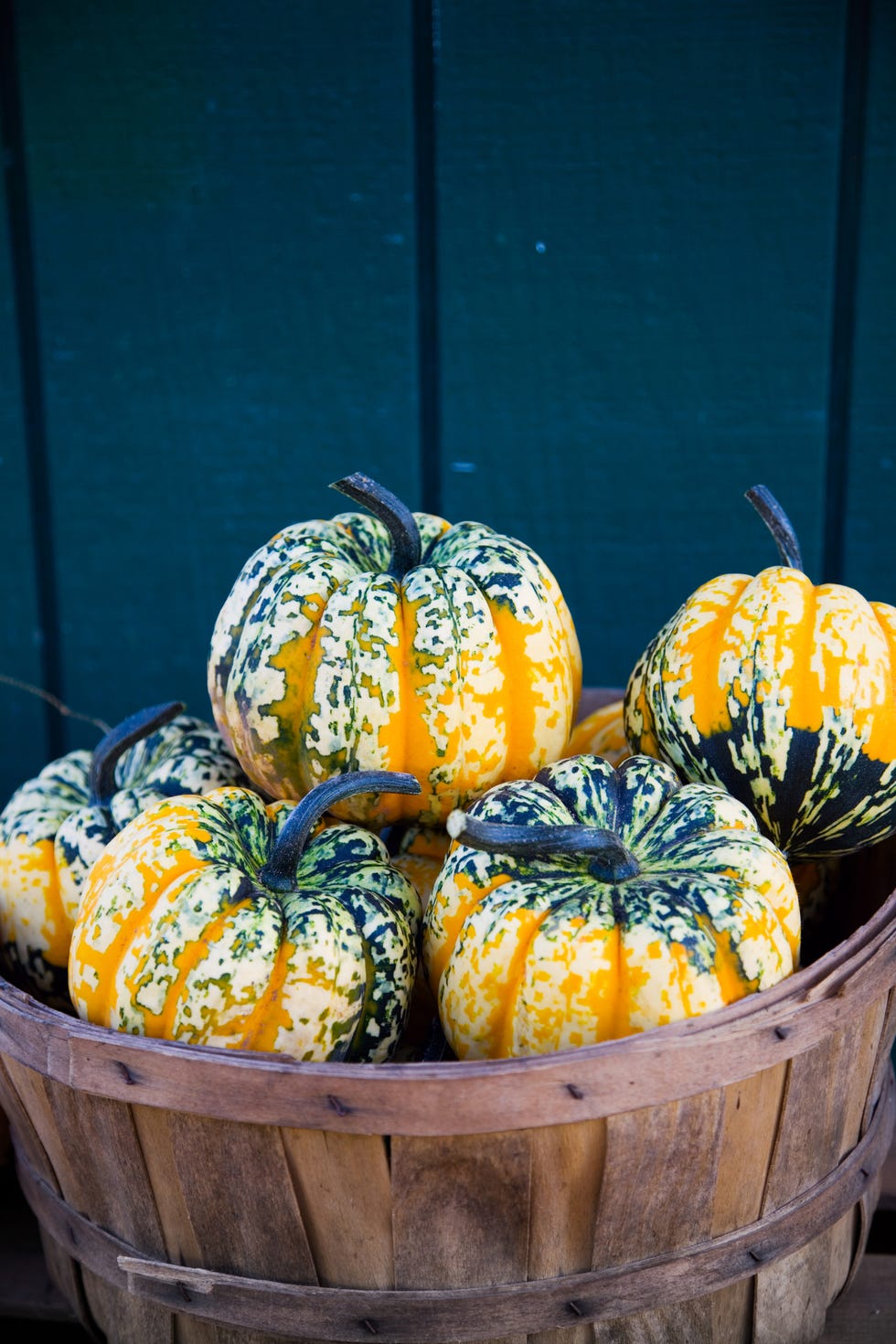 fall-fruits-vegetables-carnival squash