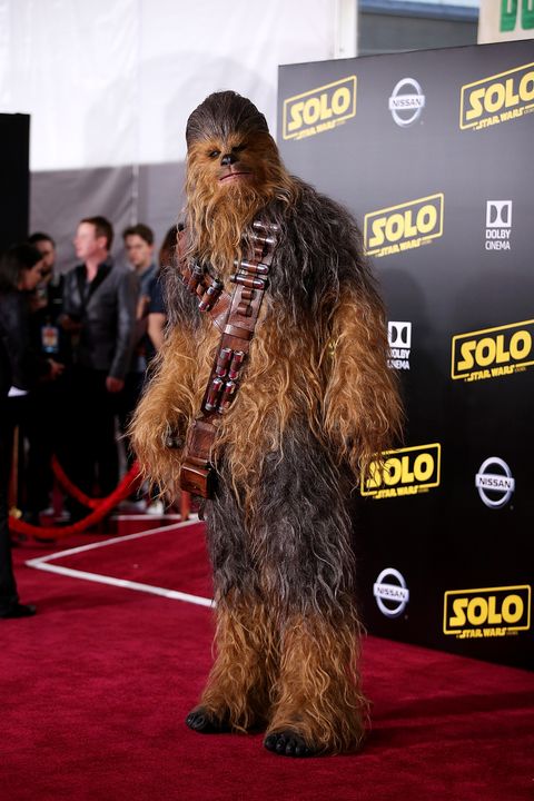 Chewbacca, Conformation show, Red carpet, Fictional character, Carpet, Sporting Group, 