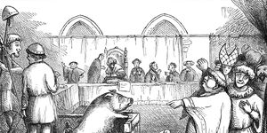 berechting varken ridiculisering van middeleeuwse dierenprocessen robert chambers the book of days a miscellany of popular antiquities in connection with the calendar 1869