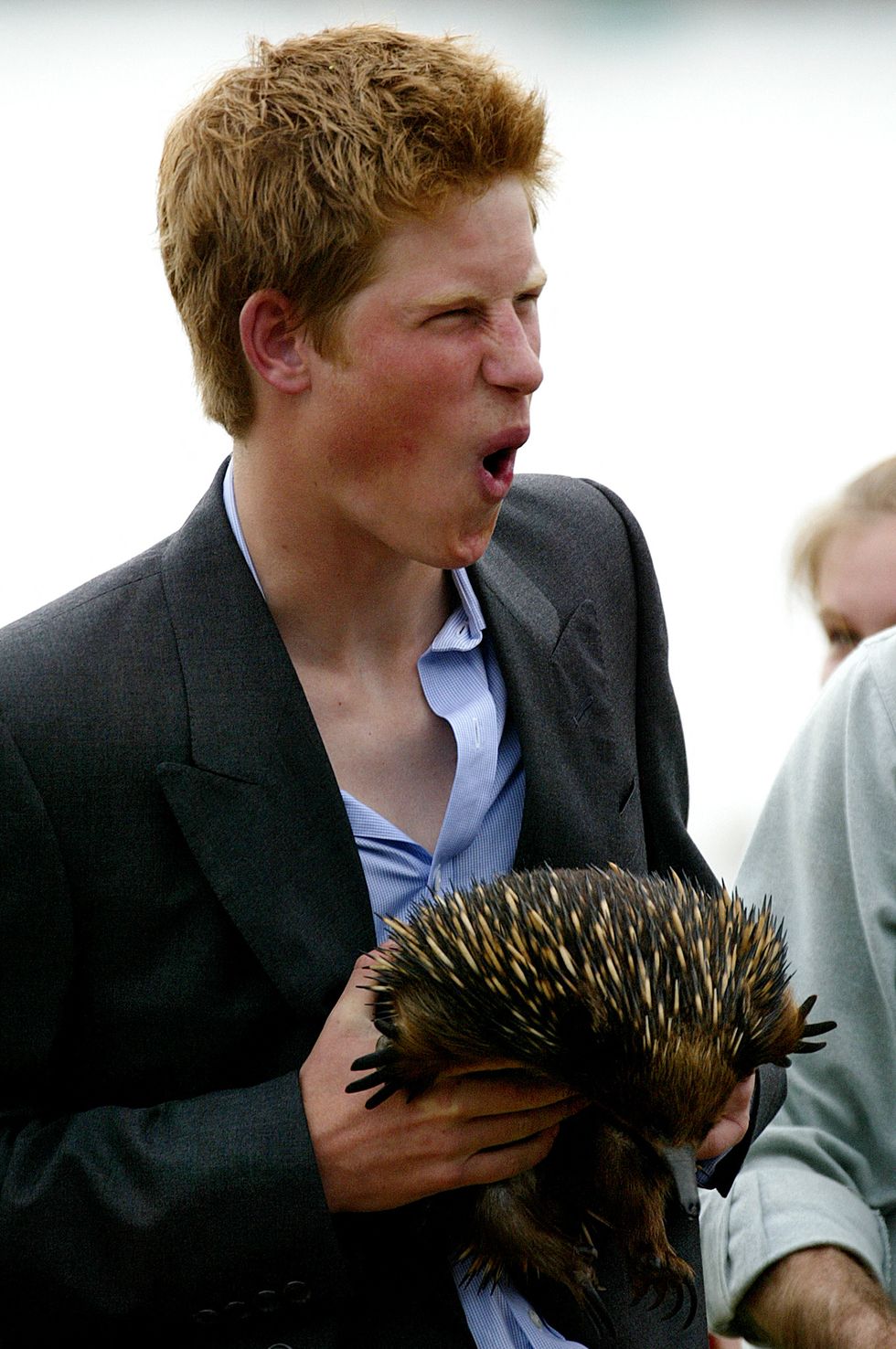 topshot prince harry reacts as he holds spike the echidna, at sydneys taronga zoo, 23 september 2003 harry, prince charles second son and third in line to the british throne, arrived in australia 23 september for a three month stay during his gap year before military college, planning to work during his trip as a jackaroo at cattle and sheep stations afp photogreg wood photo by greg wood afp photo by greg woodafp via getty images
