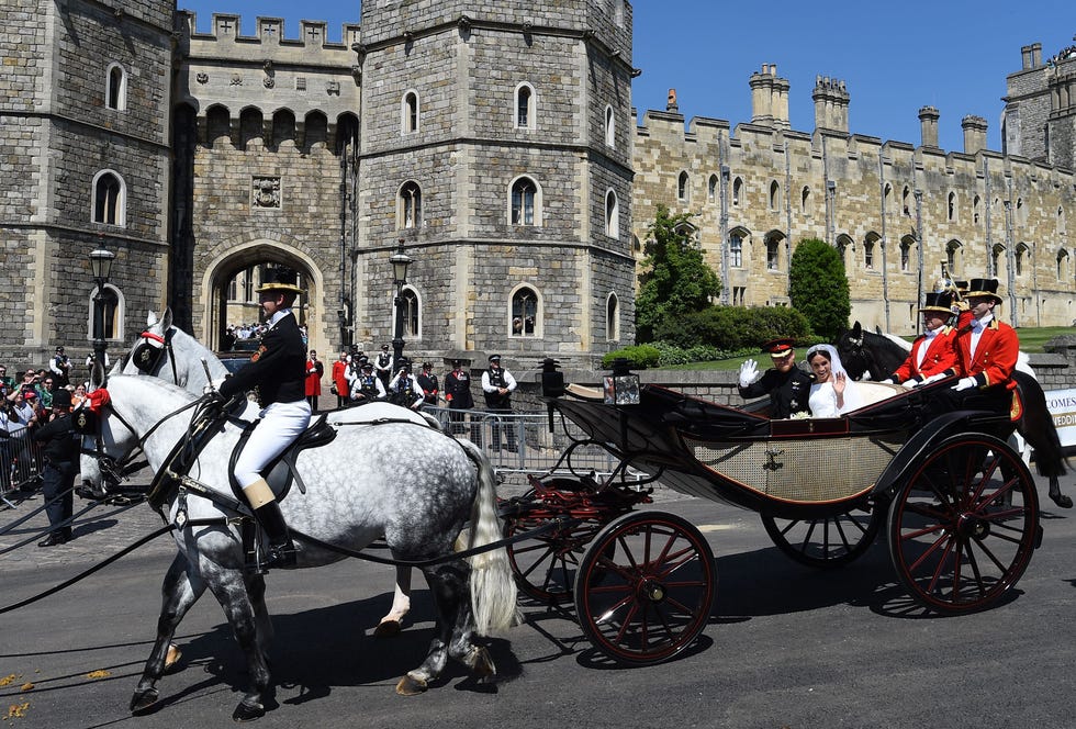Carriage, Horse, Vehicle, Horse and buggy, Mode of transport, Horse harness, Tourism, Cart, Rein, Phaeton, 