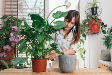 mujer con plantas de interior