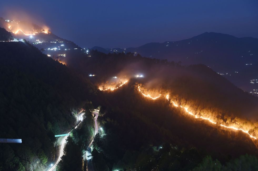 In de gemeente New Tehri in de Indiase deelstaat Uttarakhand woeden meerdere bosbranden in de heuvels rond het dorp Baurari 24 mei 2018 De plaatselijke bevolking verzamelt droge dennennaalden van de bosgrond om zulke branden te voorkomen