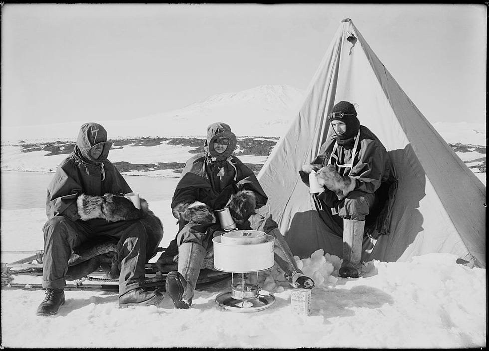 terra nova expedition