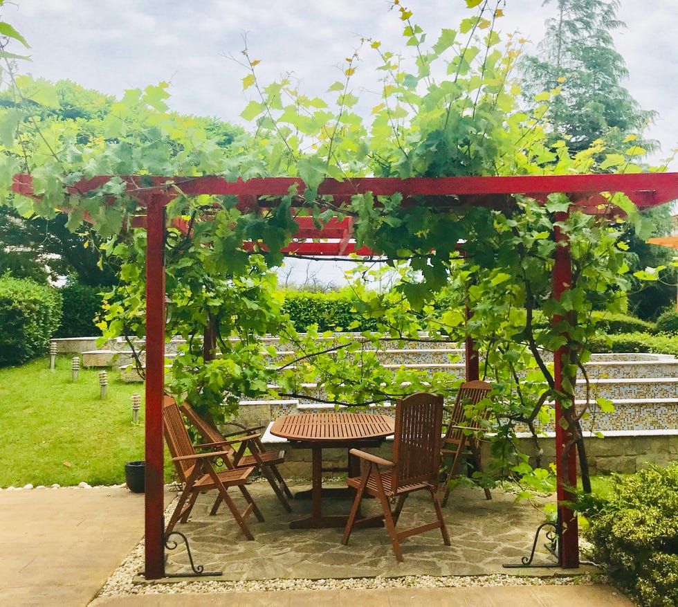 pergola ideas with a wood dining area on a patio