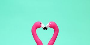 Pink, Bird, Water bird, Greater flamingo, Love, Heart, Flamingo, Organism, Font, Magenta, 