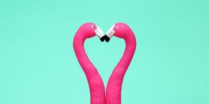 Pink, Bird, Water bird, Greater flamingo, Love, Heart, Flamingo, Organism, Font, Magenta, 