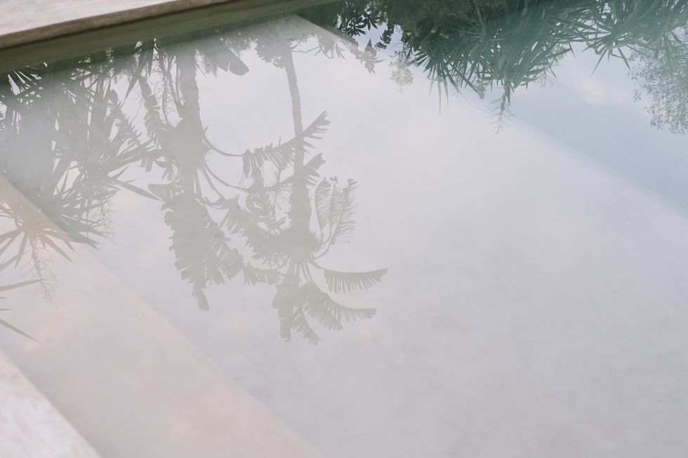 tropical pants are reflected on the surface of a moroccan pool