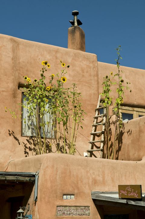 santa fe, usa september 24 adobe facade of pink adobe restaurant on september 24, 2011 in santa fe, new mexico, usa on terrace of blooming sunflowers photo by pascale beroujongamma rapho via getty images