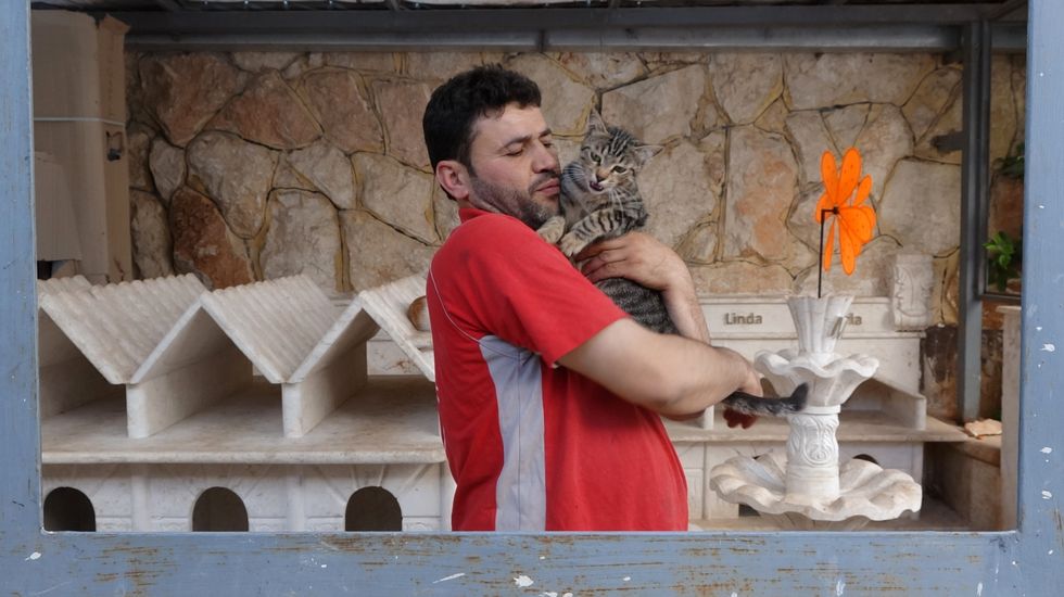 aleppo, syria   june 07 syrian veterinary mohammed alaa al jaleel holds a stray cat at a cat shelter, which hosts 150 stray cats and established to save stray cats due to the civil war,  in kafr naha town of aleppo, syria on june 07, 2018 photo by adnan alemamanadolu agencygetty images