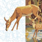 paint by numbers deer