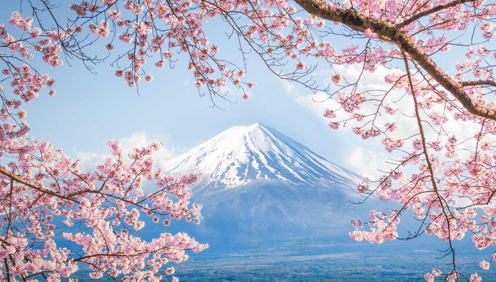 日本開放自由行、旅遊免簽證啦！搜羅旅行社「機加酒」、票卷「早鳥優惠」衝一波
