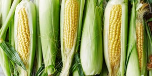 Corn on the cob, Vegetable, Sweet corn, Corn, Corn on the cob, Food, Vegetarian food, Natural foods, Plant, Produce, 