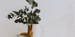 Coffee cup, croissant, Kitchen utensils and eucalyptus in a jug