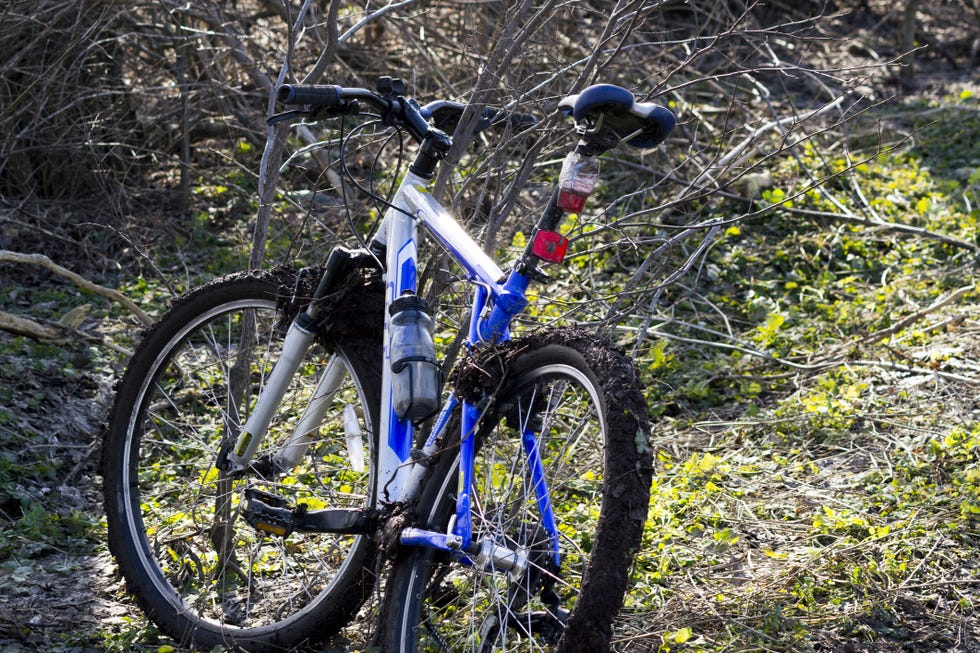 a bicycle parked in the woods