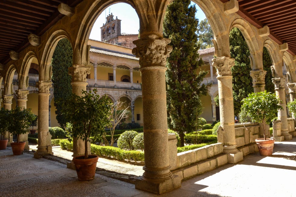 a courtyard with trees and plants