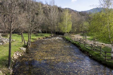 a river with a bridge and trees