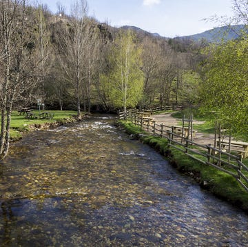La ruta de molino a molino (La Hiruela) a river with a bridge and trees