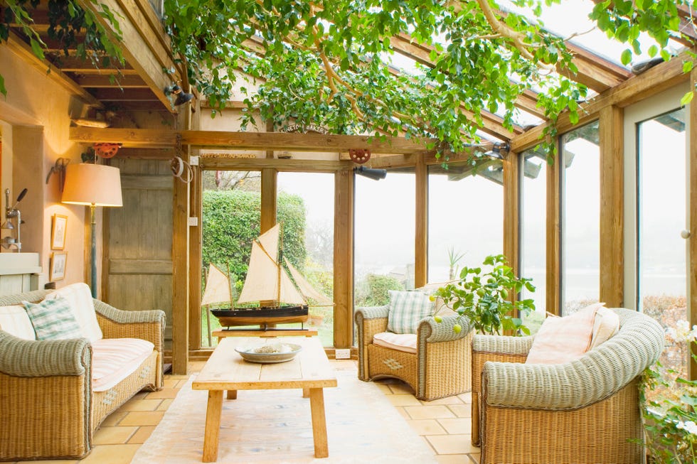conservatory plants