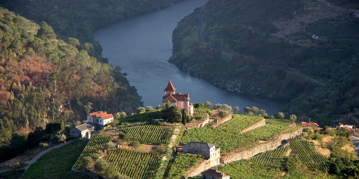Beautiful aerial landscape shot of Douro Valley vineyard in douro valley, portugal more files in my portfolio