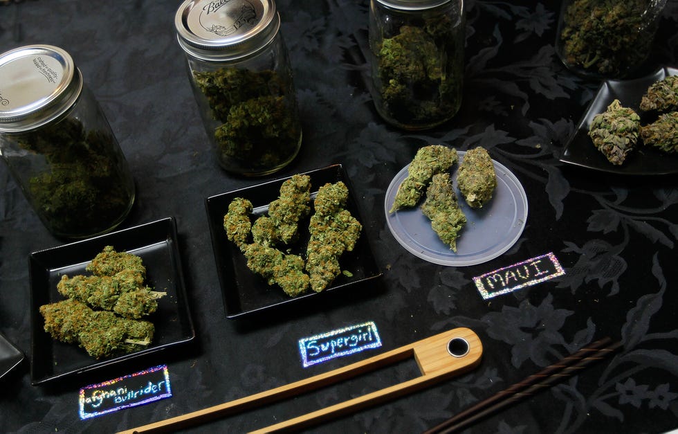 aspen, co april 18 an array of marijuana samples are seen on a table at the cannabis crown 2010 expo in aspen, colorado colorado, one of 14 states to allow use of medical marijuana, has experienced an explosion in marijuana dispensaries, trade shows and related businesses in the last year as marijuana use becomes more mainstream photo by chris hondrosgetty images