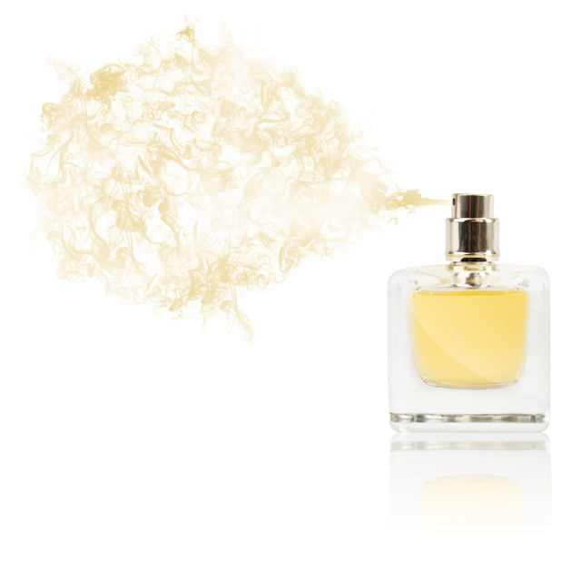 14 Best Vanilla Perfumes of 2024