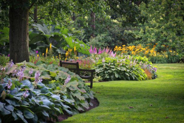 The Best 30 Perennials to Plant in a Shady Garden 2024