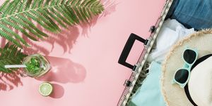 Green, Pink, Tree, Plant, Photography, Fashion accessory, Palm tree, Magenta, Arecales, 