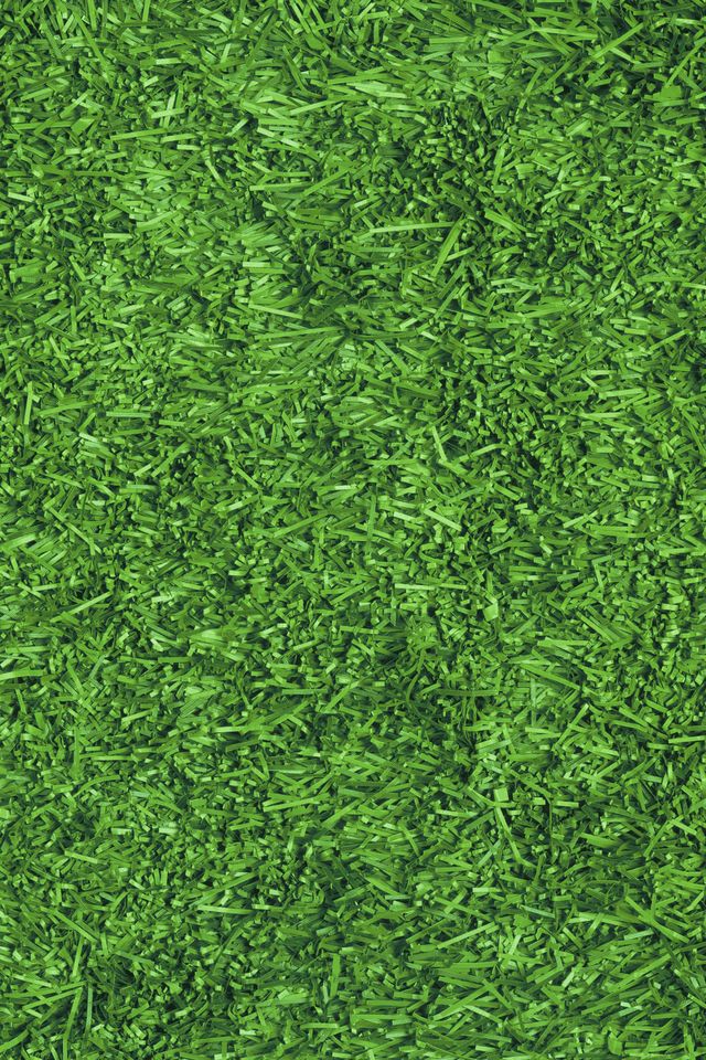 close up of green turf