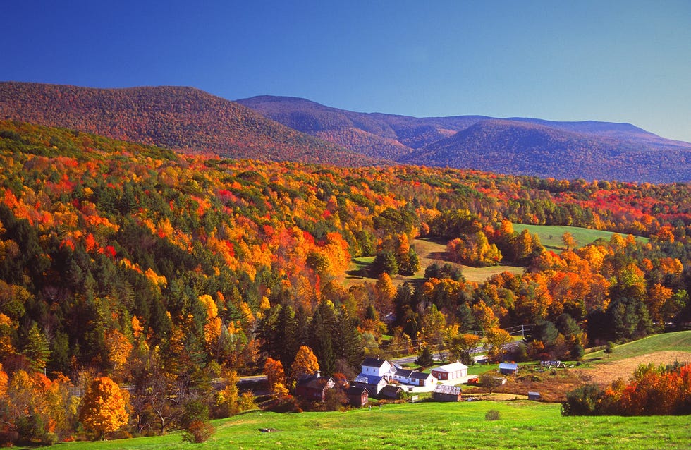 Nature, Natural landscape, Leaf, Sky, Mountain, Hill, Tree, Mountainous landforms, Autumn, Wilderness, 