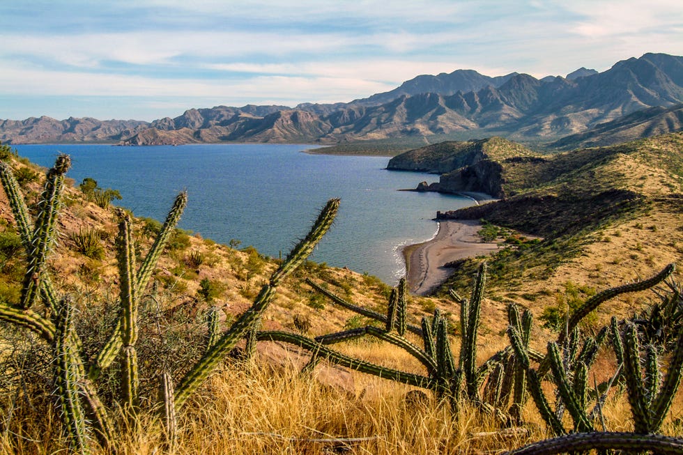 Vegetation, Sky, Mountain, Wilderness, Reservoir, Coast, Lake, Tree, Sea, Grass family, Vegetation, Sky, Mountain, Wilderness, Reservoir, Coast, Lake, Tree, Sea, Grass family,