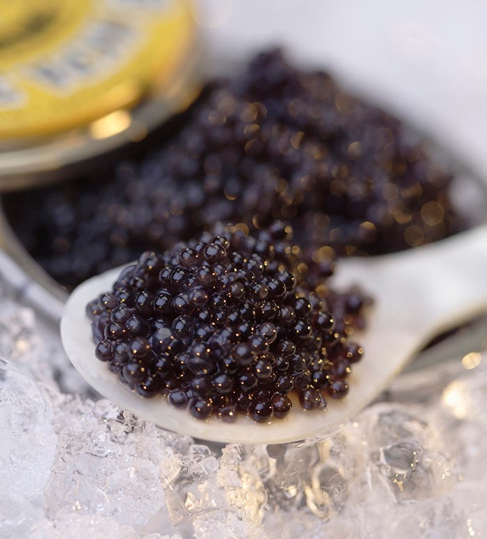 caviar