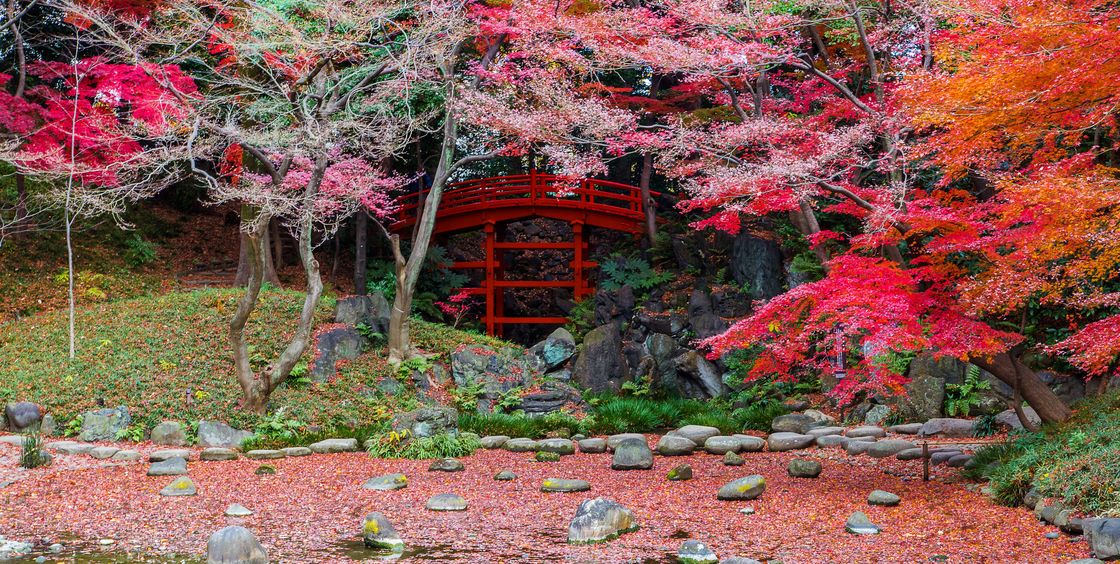 Los jardines más bonitos del mundo. Hoishikawa Korakue. Tokyo.