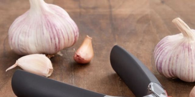The 8 Best Garlic Presses Of 2023 — OXO, Rösle, Microplane