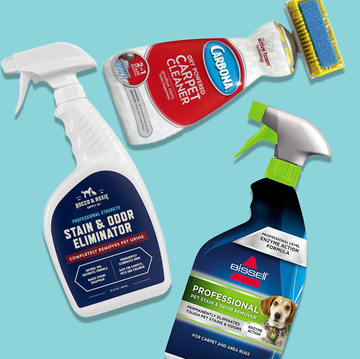 the best carpet stain removers