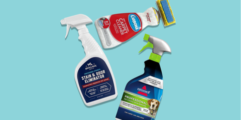 the best carpet stain removers