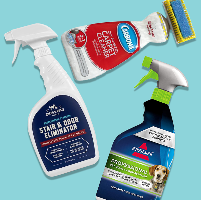 9 Best Carpet Stain Removers Of 2023 Tested Reviewed