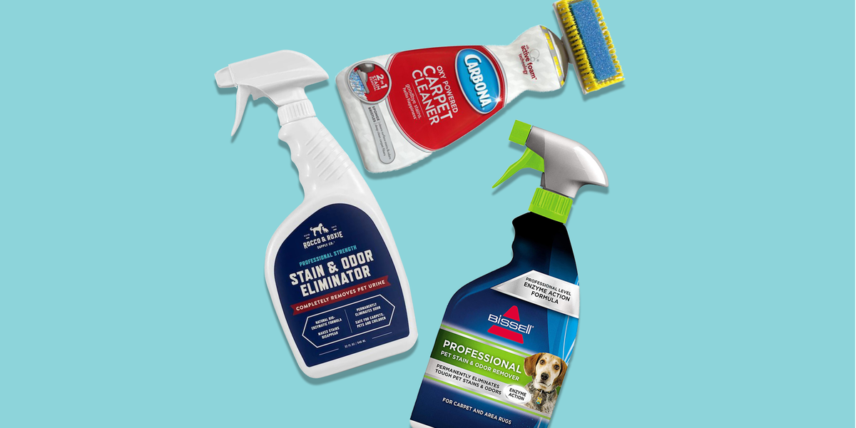 Best pet poop stain remover best sale