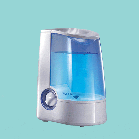 Cool Mist vs. Warm Mist Humidifiers, According to Experts