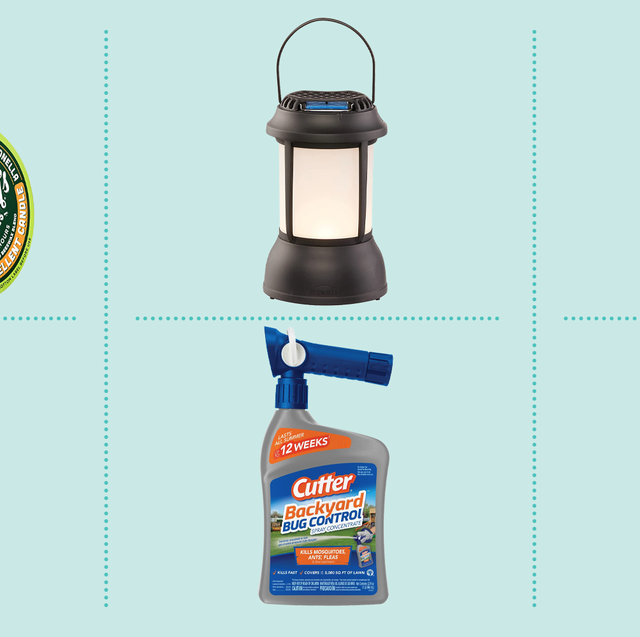 The Five Best Mosquito Killers