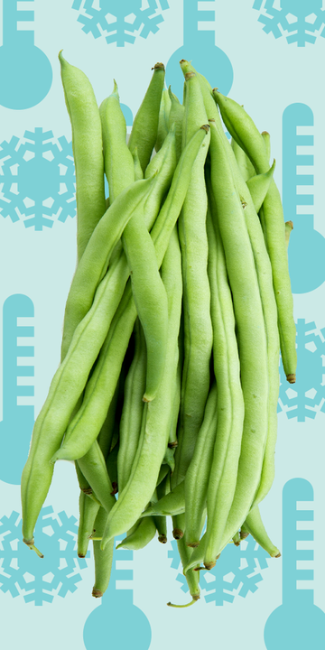 a bunch of green beans against a blue background