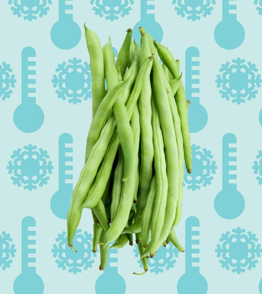 green beans growing clipart