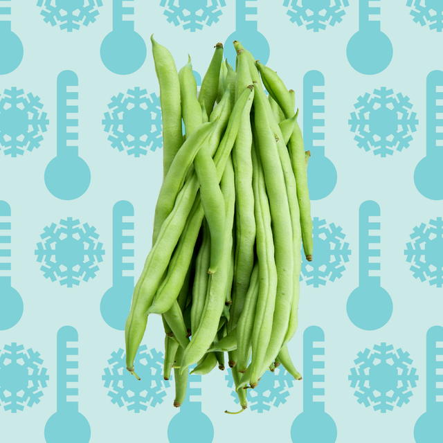 a bunch of green beans against a blue background