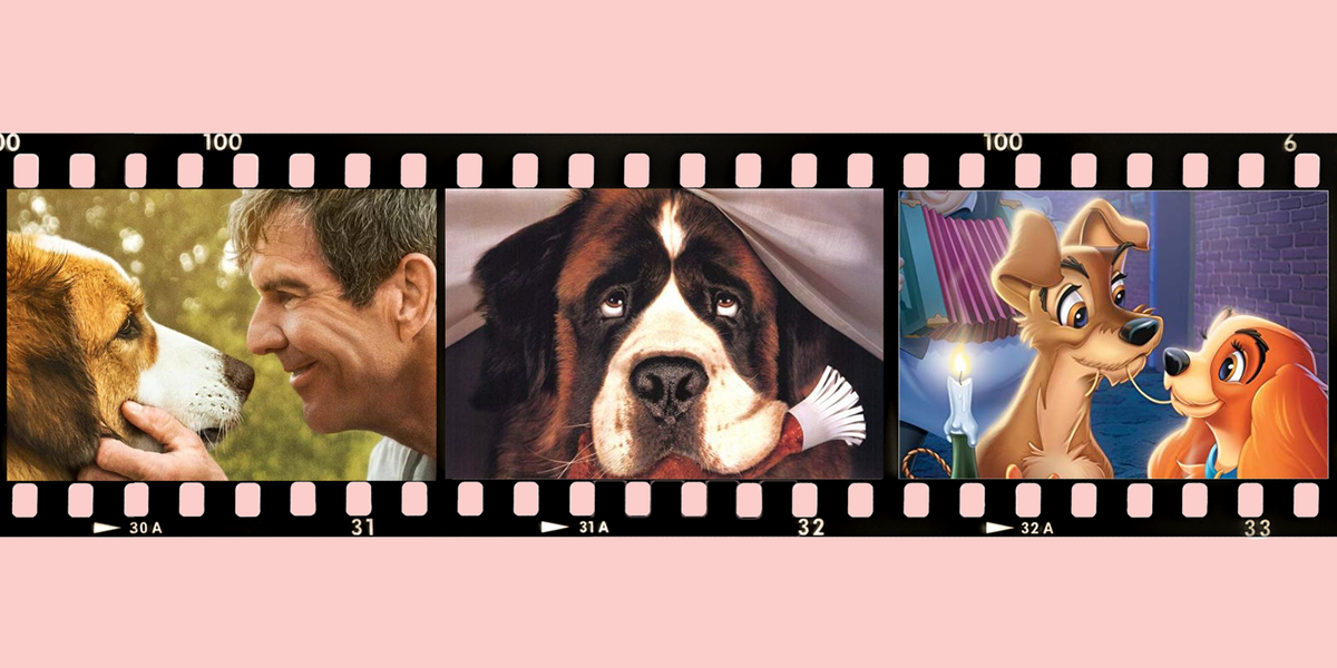 Girl Dog Captions - 20+ Best Dog Movies to Watch - Best Movies About Dogs to Stream