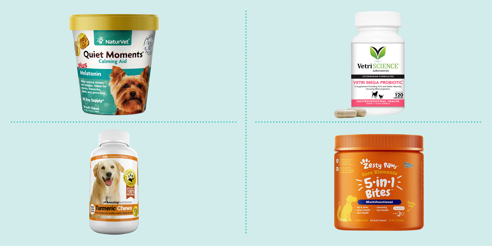 Vitamins that 2025 dogs need