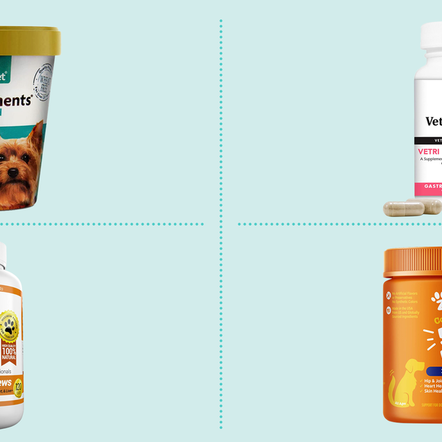 5 Of The Best Dietary Supplements For Your Dog - DogTime