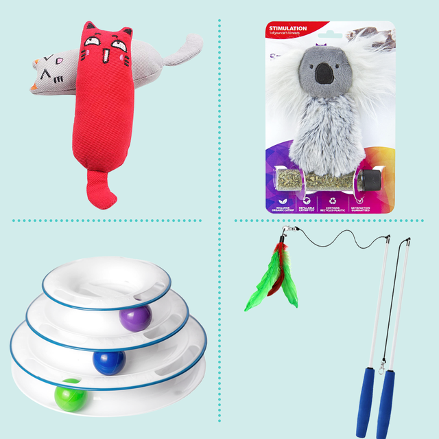Keep your feline fit and happy with these 8 great toys